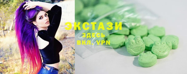 гидра Богданович