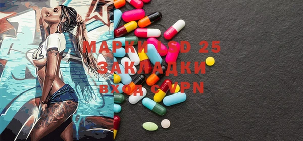 гидра Богданович