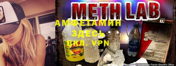 прущие грибы Семилуки