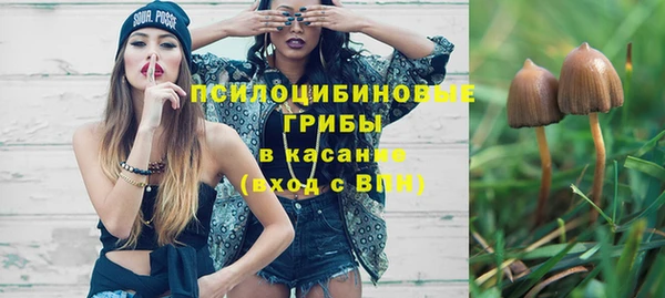 соль курить ск Богородицк