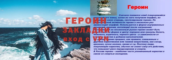 гидра Богданович