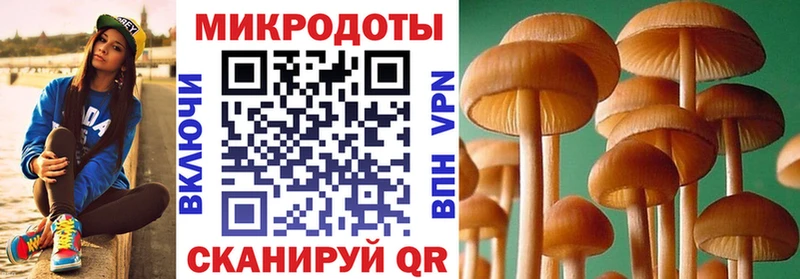 Псилоцибиновые грибы Cubensis  Костомукша 