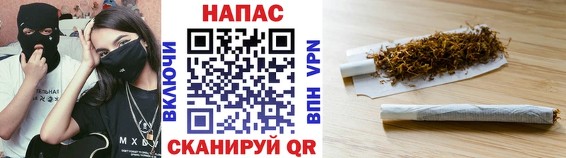 Бошки Шишки план Костомукша